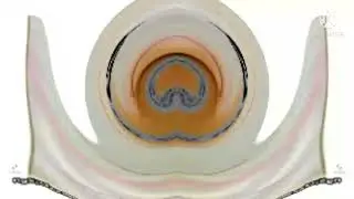 requested Samsung logo history súper duper low pitch in g major 40