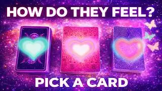 The Truth About How They Feel&hellip; 👀🫢✨ | Pick a Card 🔮