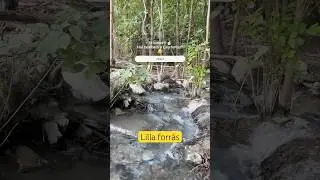 Lilla forr&aacute;s