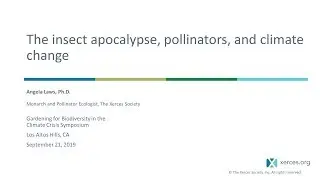 The insect apocalypse, pollinators, and climate change