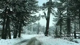 Curacaut&iacute;n, Chile.