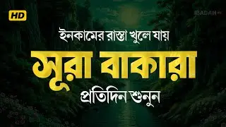 ইনকামের রাস্তা খুলে যাবে ইনশাআল্লাহ | সুরা বাকারা তিলাওয়াত | কোনোদিন রিজিকে অভাব হবে না