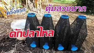 ใส่ตุ้มปลาไหล ดักตุ้มปลาไหล ดักปลาไหลด้วยตุ้ม ครั้งแรก ตุ้มดักปลาไหลสวยมากๆ