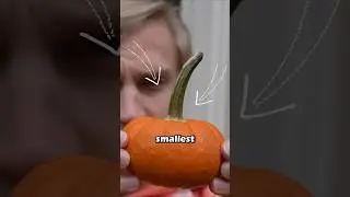 Вырезаем самую маленькую тыкву в мире! #Хэллоуин #тыква #крошечный