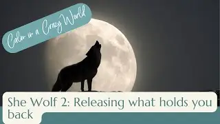 She Wolf 2: Releasing what holds you back
