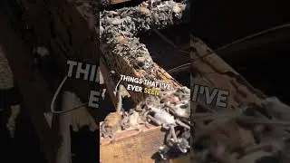 Hundreds of Bats Hidden in Roof 😱 🦇