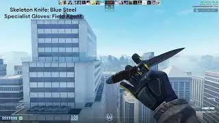 Csgo Skeleton Knife Blue Steel and Specialist Gloves Field Agent Combo