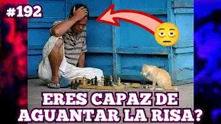 🔥🥵Los PEORES memes de internet 🥵🔥 #192