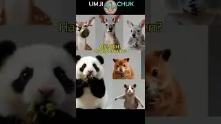 #shorts /UC5/간단 필수 영어/한국어! Learn Basic Essential English/Korean with cutest baby animals!