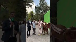 SIAM TV Rencontre avec la Fédération Marocaine des Éleveurs de la Race Bovine d’Oulmès Zaer(FMERBOZ)