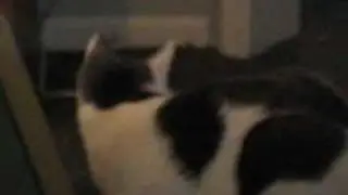 kitchen bitch.wmv