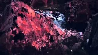 Prosis - Dos Mou (Allan Zax Remix)