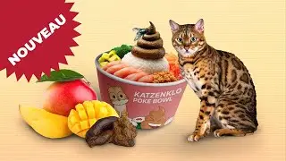 TNT PokeBowl liti&egrave;re pour chat