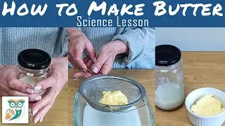 How to Make Butter in Jar - Yummy Kitchen Science for Homeschool or the Classroom