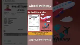 Approved Work Visa  #VisaExpert#VisaConsultant#VisaAdvisor#TravelVisaAssistance#GlobalVisaSolutions