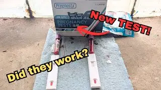 Blood test results SHOCK us! 🐄 Trying a new Preg test!