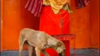 Kamla Bhakti Sangeet  is live!