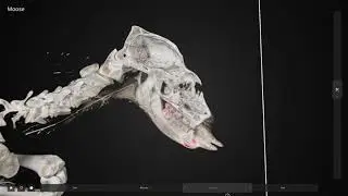 Trailer - Inside Explorer on Steam
