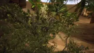 Oman Oasis! Gunjamed plays Treasure Hunter Simulator LIVE 13