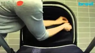 Brevi OVO