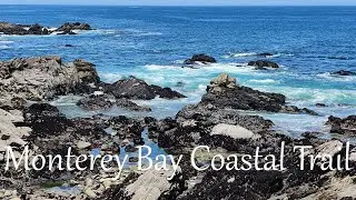 881 - Monterey Bay Coastal Trail biking