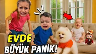 KOMŞUNUN KÖPEĞİ EVE GİZLİ GİRDİ POYRAZ ELİFİ KORKUTTU!!EVDE KORKU DOLU ANLAR!!