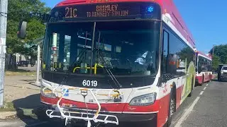 TTC 2024 New Flyer XE40 NG #6019 | 21C Brimley