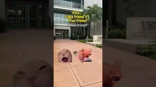 #catmemes #catlover #catsofyoutube #kittenmemes #memes #CatMemes #FunnyCats #CatVideos #ViralCat