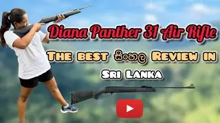 Diana Panther 31 Air Rifle full review | in සිංහල | Power, Accuracy & Build Quality @ShootWithShiny 