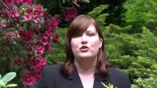 Stacia Whatley explains what a Certified Distressed Property Expert