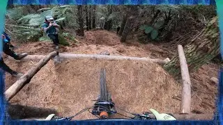 The 