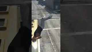 GTA V Franklin sounds like a seal