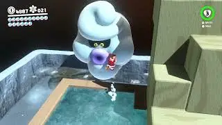 Mario Odyssey - Mr.Ty-foo (52)