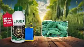GSP  - Liger Pesticide