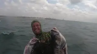 Spearphoria Ep2 - Teaser PB Yellowtail [Searfishing South Africa 2020]