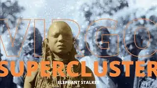 Elephant Stalker - Virgo Supercluster
