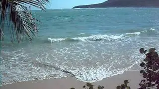 windy camp flamenco beach