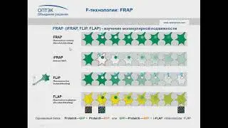 Вебинар &laquo;F технологии в микроскопии&raquo;, часть 3  FRAP