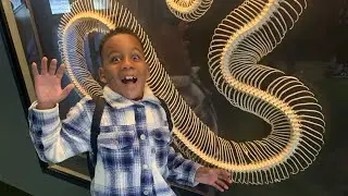 Steven's Trip to The San Diego Zoo