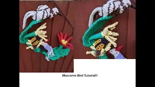 Macrame Bird Tutorial!!(Part-3)