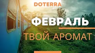 Выбирай вариант 1-2 