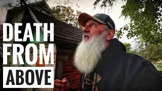 Homestead Aerial Predator Prevention | Protecting Our Chickens