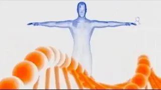 Personalise your diet based on DNA