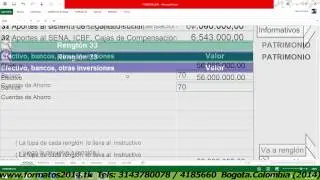 FORMULARIOS DIAN EN EXCEL 2014