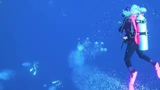 Tubbataha Reefs: A Bucket List Dive into Nature&rsquo;s Aquarium