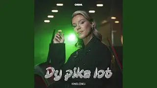 Dy pika lot