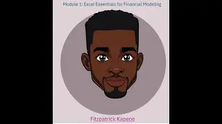 Master Excel Without the Mouse: Financial Modeling Setup & Navigation (Module 1)