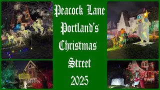 Peacock Lane, Portland's Christmas street 2025