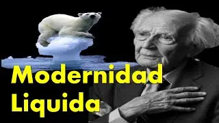 &iquest;Qu&eacute; es la Modernidad Liquida?