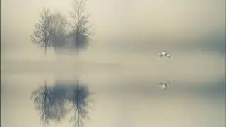 Dreamy Peaceful Relaxing Foggy Lake Music (1 hour)